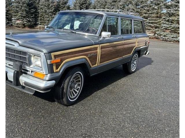1989 Jeep Grand Wagoneer (CC-2097974) for sale in Cadillac, Michigan