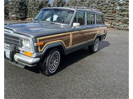 1989 Jeep Grand Wagoneer (CC-2097974) for sale in Cadillac, Michigan