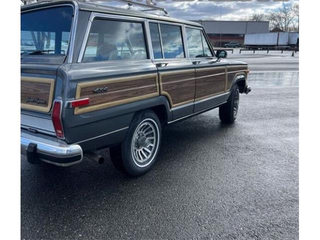 1989 Jeep Grand Wagoneer (CC-2097974) for sale in Cadillac, Michigan