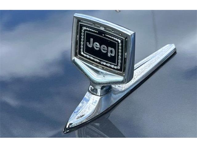 1989 Jeep Grand Wagoneer (CC-2097974) for sale in Cadillac, Michigan
