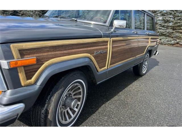 1989 Jeep Grand Wagoneer (CC-2097974) for sale in Cadillac, Michigan