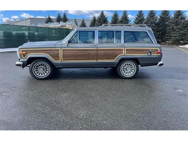 1989 Jeep Grand Wagoneer (CC-2097974) for sale in Cadillac, Michigan