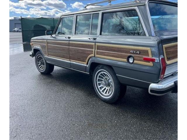1989 Jeep Grand Wagoneer (CC-2097974) for sale in Cadillac, Michigan