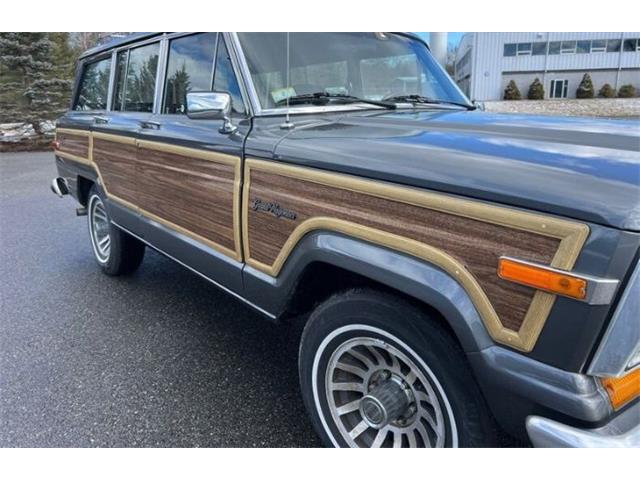 1989 Jeep Grand Wagoneer (CC-2097974) for sale in Cadillac, Michigan