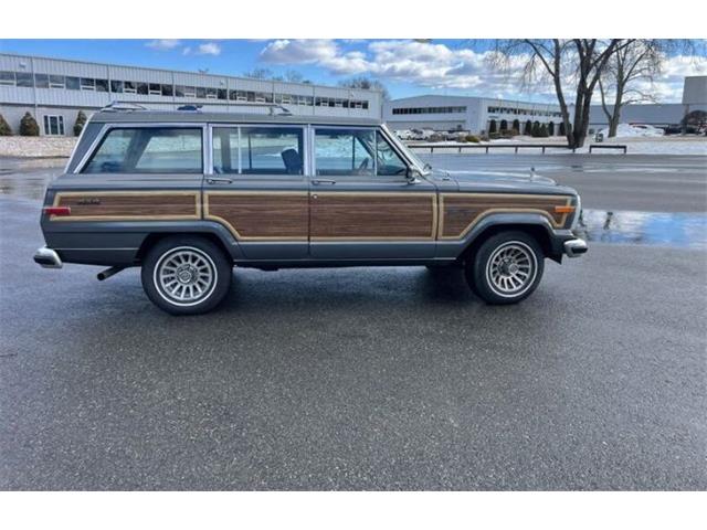 1989 Jeep Grand Wagoneer (CC-2097974) for sale in Cadillac, Michigan