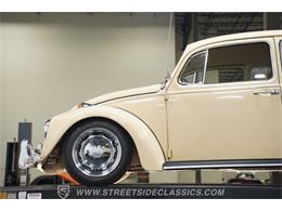 1967 Volkswagen Beetle (CC-2097984) for sale in Lavergne, Tennessee
