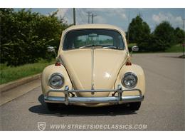 1967 Volkswagen Beetle (CC-2097984) for sale in Lavergne, Tennessee