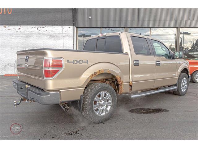 2011 Ford F150 (CC-2090804) for sale in St. Charles, Illinois