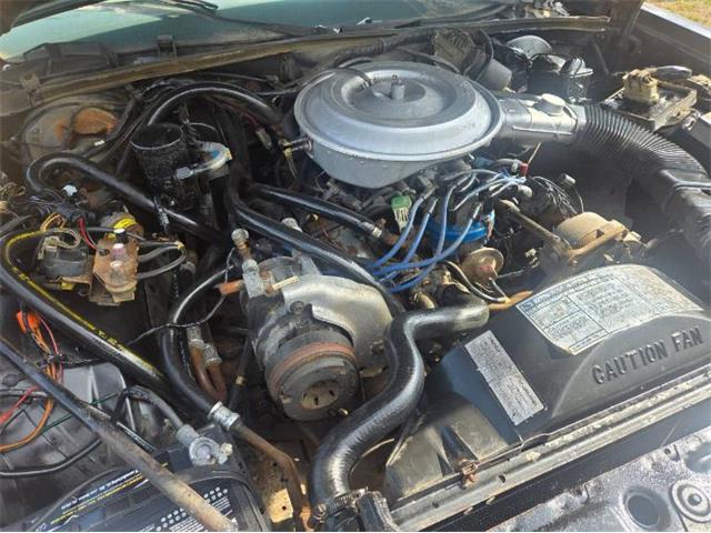 1982 Ford LTD (CC-2098044) for sale in Cadillac, Michigan