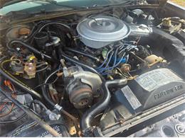 1982 Ford LTD (CC-2098044) for sale in Cadillac, Michigan