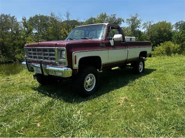 1979 GMC Sierra Grande (CC-2098051) for sale in Cadillac, Michigan