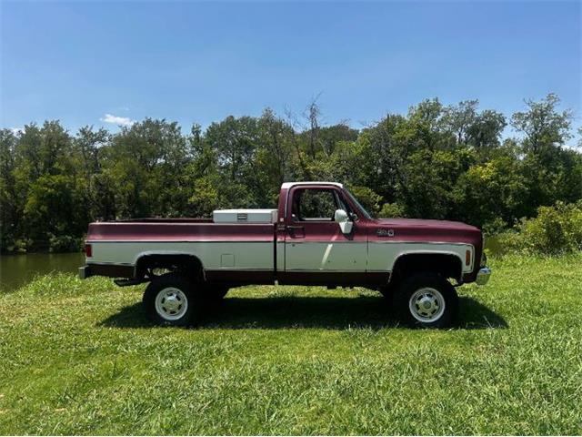 1979 GMC Sierra Grande (CC-2098051) for sale in Cadillac, Michigan