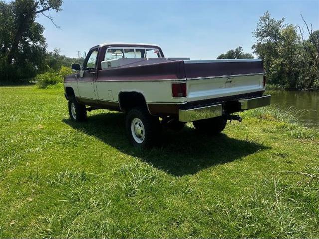 1979 GMC Sierra Grande (CC-2098051) for sale in Cadillac, Michigan