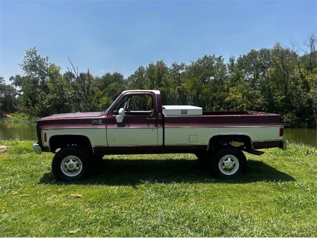 1979 GMC Sierra Grande (CC-2098051) for sale in Cadillac, Michigan