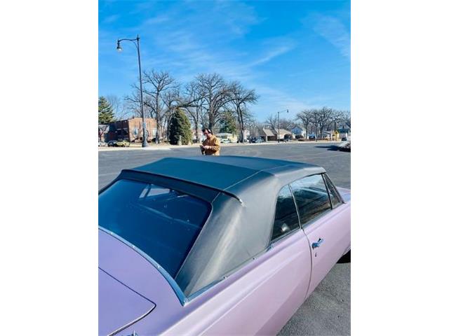 1965 Chevrolet Chevelle (CC-2098056) for sale in Cadillac, Michigan