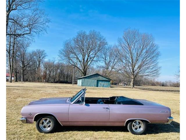 1965 Chevrolet Chevelle (CC-2098056) for sale in Cadillac, Michigan