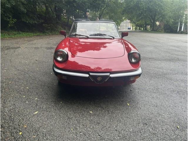 1986 Alfa Romeo Spider Veloce (CC-2098113) for sale in Saratoga Springs, New York