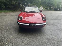 1986 Alfa Romeo Spider Veloce (CC-2098113) for sale in Saratoga Springs, New York