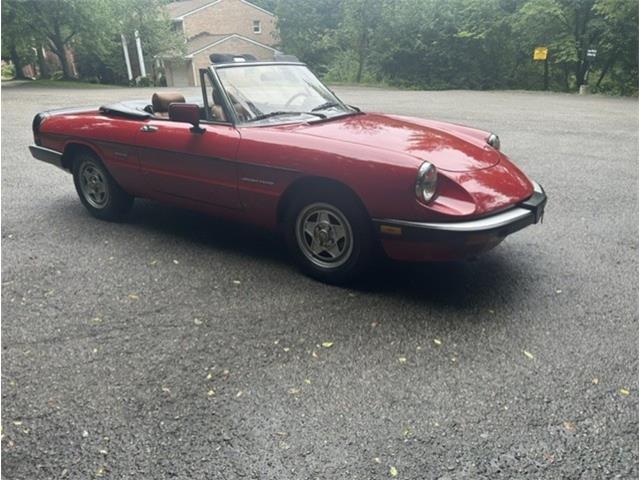 1986 Alfa Romeo Spider Veloce (CC-2098113) for sale in Saratoga Springs, New York