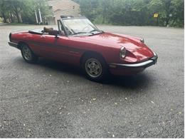 1986 Alfa Romeo Spider Veloce (CC-2098113) for sale in Saratoga Springs, New York