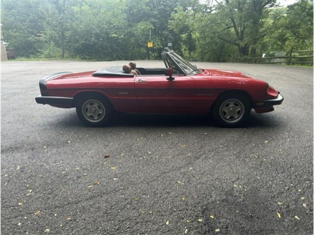 1986 Alfa Romeo Spider Veloce (CC-2098113) for sale in Saratoga Springs, New York