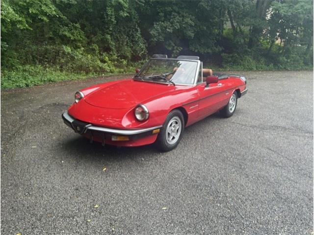 1986 Alfa Romeo Spider Veloce (CC-2098113) for sale in Saratoga Springs, New York