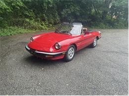 1986 Alfa Romeo Spider Veloce (CC-2098113) for sale in Saratoga Springs, New York