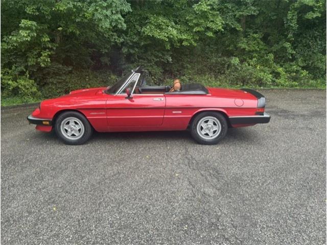 1986 Alfa Romeo Spider Veloce (CC-2098113) for sale in Saratoga Springs, New York