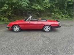 1986 Alfa Romeo Spider Veloce (CC-2098113) for sale in Saratoga Springs, New York