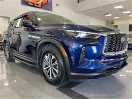 2025 Infiniti QX60 (CC-2098121) for sale in Jacksonville, Florida