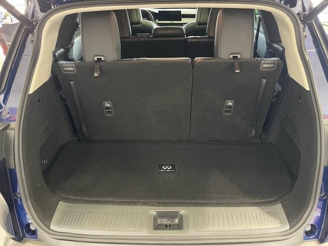 2025 Infiniti QX60 (CC-2098121) for sale in Jacksonville, Florida