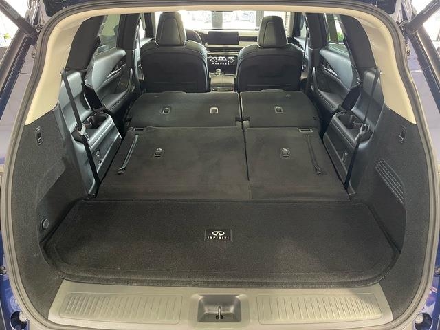 2025 Infiniti QX60 (CC-2098121) for sale in Jacksonville, Florida