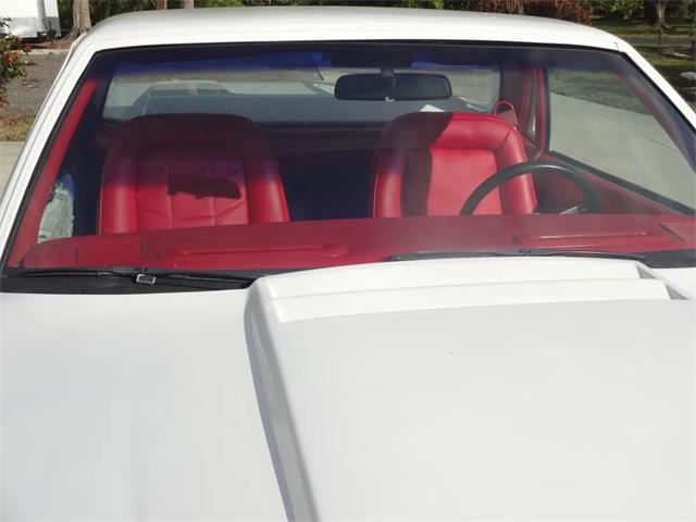 1984 Chevrolet Custom (CC-2098129) for sale in Sarasota, Florida