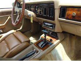 1984 Zimmer Golden Spirit (CC-2098130) for sale in Sarasota, Florida