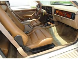1984 Zimmer Golden Spirit (CC-2098130) for sale in Sarasota, Florida