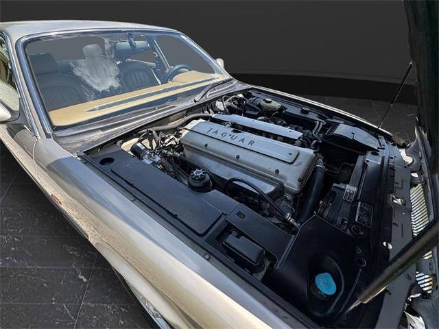 1995 Jaguar XJ6 (CC-2098138) for sale in Nashville, Illinois