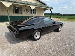 1989 Pontiac Firebird (CC-2098140) for sale in Nashville, Illinois