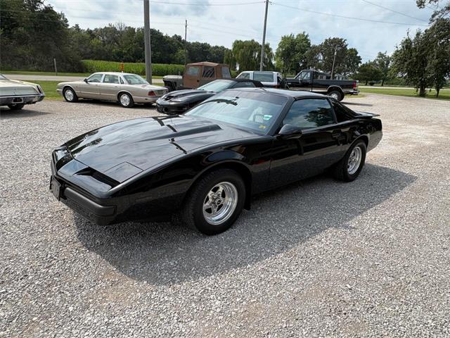 1989 Pontiac Firebird (CC-2098140) for sale in Nashville, Illinois