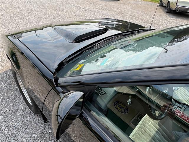 1989 Pontiac Firebird (CC-2098140) for sale in Nashville, Illinois
