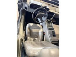 1982 DeLorean DMC-12 (CC-2098149) for sale in Santa Rosa, Florida