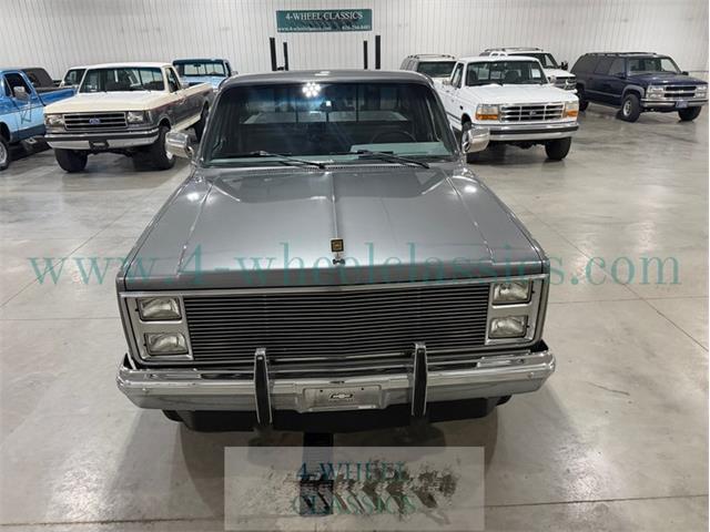 1987 Chevrolet K-10 (CC-2098169) for sale in Holland , Michigan