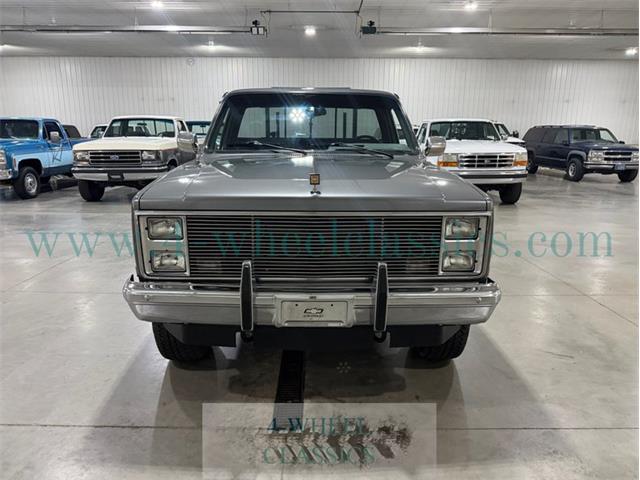 1987 Chevrolet K-10 (CC-2098169) for sale in Holland , Michigan