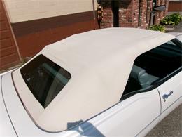1976 Cadillac Eldorado (CC-2098188) for sale in Palmer, Massachusetts