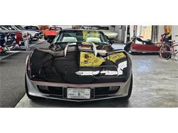 1978 Chevrolet Corvette (Indy 500 Pace Car) (CC-2098196) for sale in Hudson, Florida