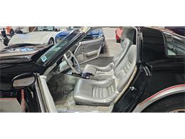 1978 Chevrolet Corvette (Indy 500 Pace Car) (CC-2098196) for sale in Hudson, Florida