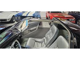 1978 Chevrolet Corvette (Indy 500 Pace Car) (CC-2098196) for sale in Hudson, Florida