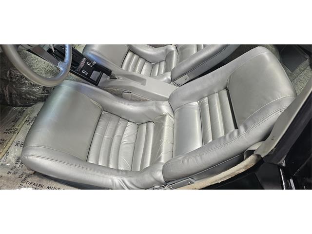1978 Chevrolet Corvette (Indy 500 Pace Car) (CC-2098196) for sale in Hudson, Florida