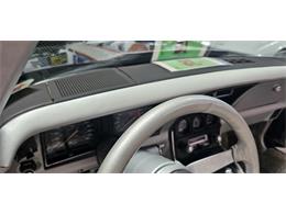 1978 Chevrolet Corvette (Indy 500 Pace Car) (CC-2098196) for sale in Hudson, Florida