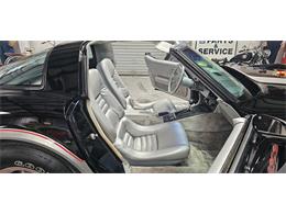 1978 Chevrolet Corvette (Indy 500 Pace Car) (CC-2098196) for sale in Hudson, Florida