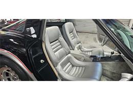 1978 Chevrolet Corvette (Indy 500 Pace Car) (CC-2098196) for sale in Hudson, Florida